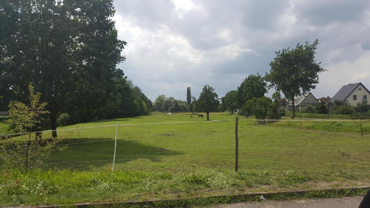 Gasthaus Schillebold Peitz Ruang foto
